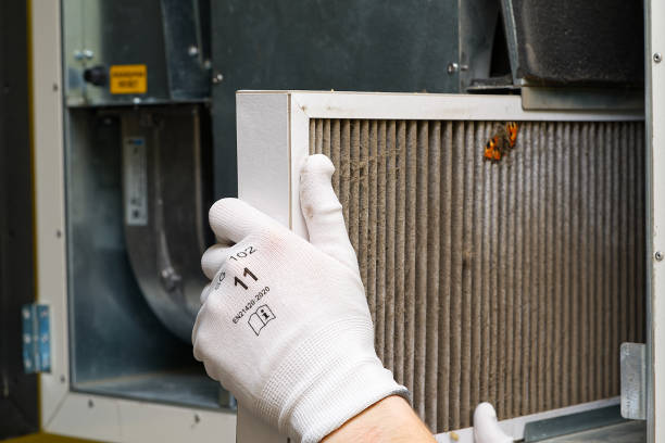 Best HVAC System Cleaning  in Mountain City, GA