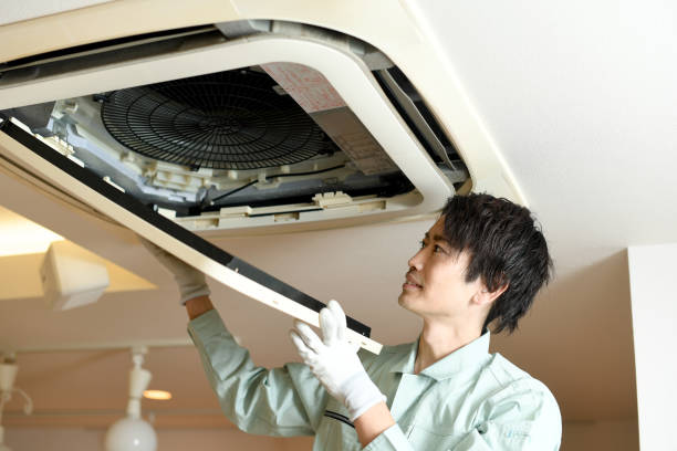 Best Affordable Duct Cleaning Services  in Mountain City, GA