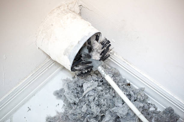 Best Affordable Duct Cleaning Services  in Mountain City, GA